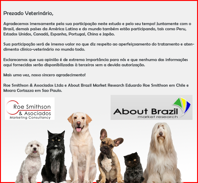 Marketing Intelligence Market Research in Latin America Market segmentation Marketing Plan Marketing consultants